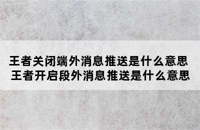 王者关闭端外消息推送是什么意思 王者开启段外消息推送是什么意思